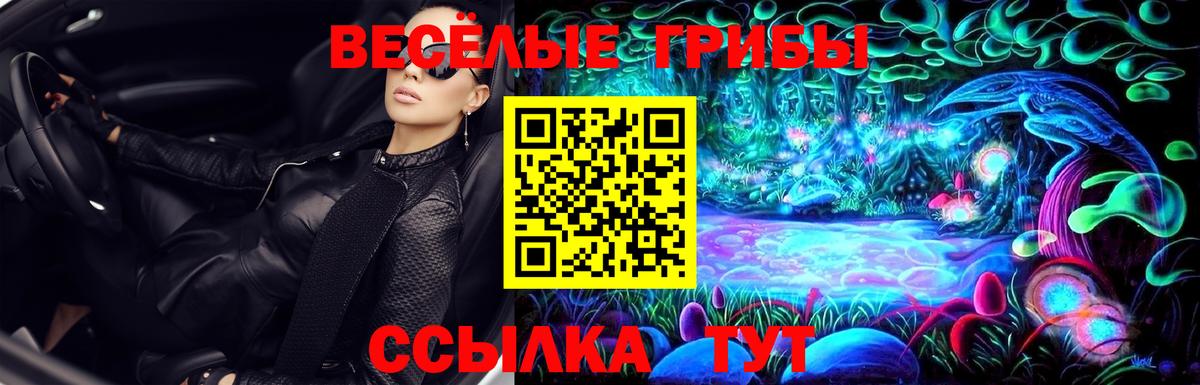 Шебекино  Псилоцибиновые грибы MAGIC MUSHROOMS  купить  цена  Вход с VPN 