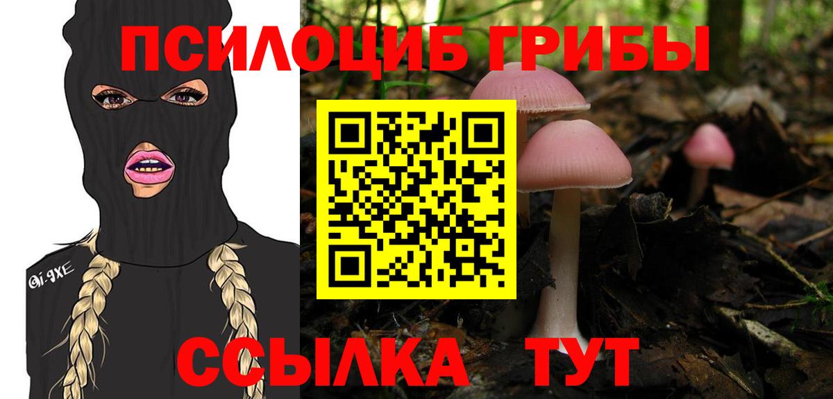 Меф МЯУ МЯУ   Вход с VPN  Марихуана  ЭКСТАЗИ  Cocaine  Шебекино  Где купить наркотики?  ГАШ 