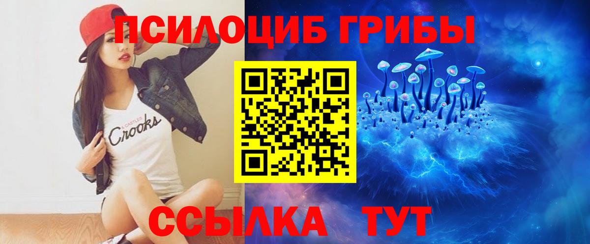 Псилоцибиновые грибы GOLDEN TEACHER Шебекино